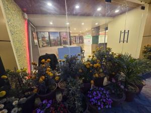 sarojini garden hotel and restaurant