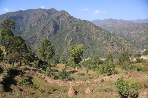 svs recreational hotels and resorts