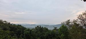 mountain view villas of coorg