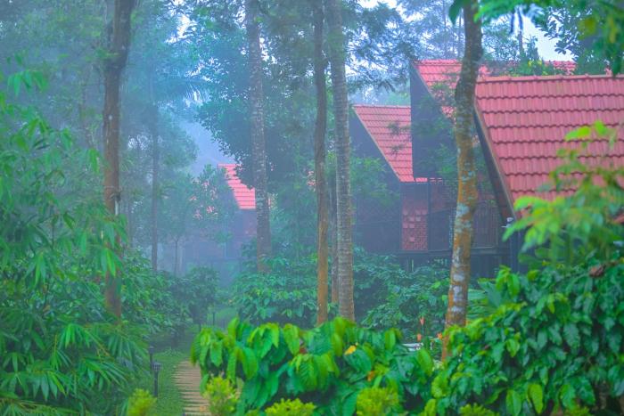 bay view suites vythiri