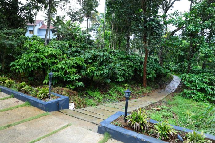 bay view suites vythiri