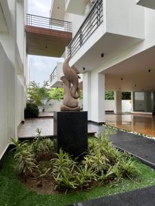 perch casa feliz golf course road