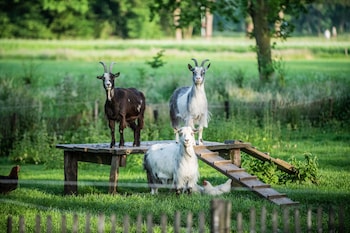erfgoed bossem