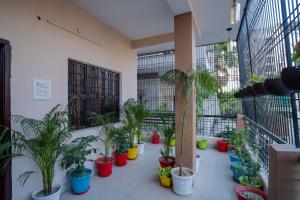 sunrise meadows hotel and homestay