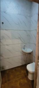 hotel amrit shree