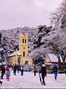 shimla