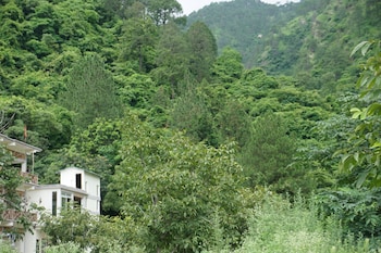maulyar forest resort