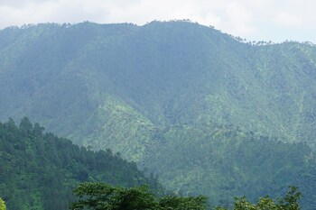 maulyar forest resort