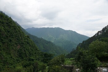 maulyar forest resort