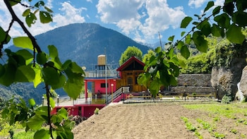 snow and field view homestay