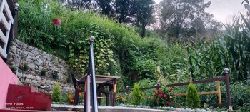 snow and field view homestay