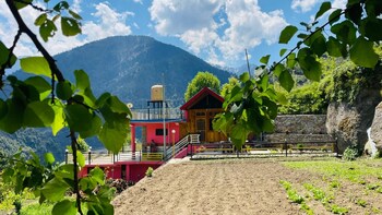 snow and field view homestay