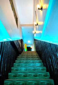 hidden monkey backpackers darjeeling