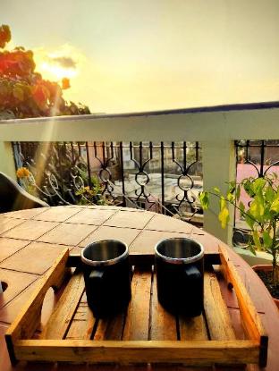 hidden monkey backpackers darjeeling