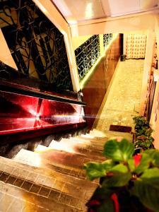 hidden monkey backpackers darjeeling