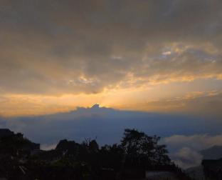 hidden monkey backpackers darjeeling