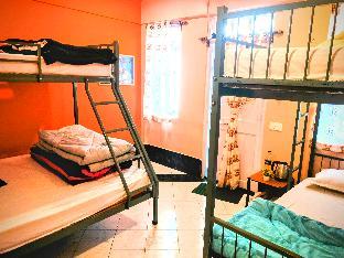 hidden monkey backpackers darjeeling