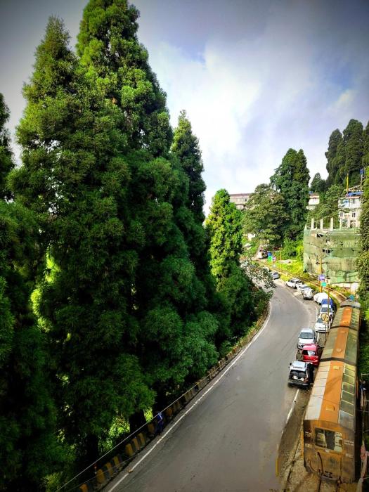 hidden monkey backpackers darjeeling