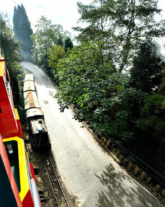 hidden monkey backpackers darjeeling