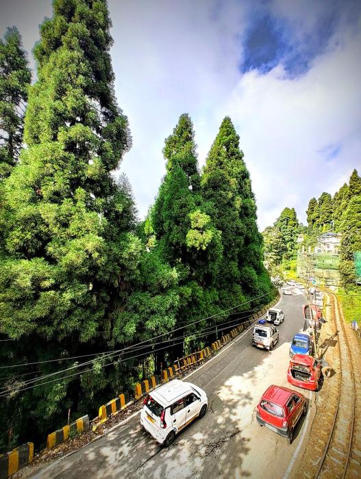 hidden monkey backpackers darjeeling