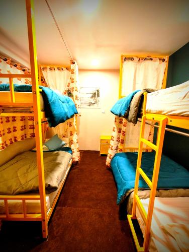 hidden monkey backpackers darjeeling