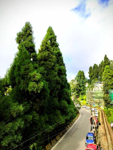 hidden monkey backpackers darjeeling