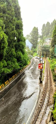 hidden monkey backpackers darjeeling