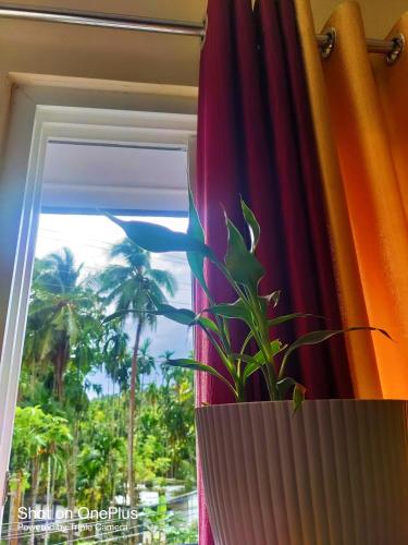 haven garden homestay