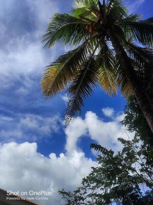 haven garden homestay