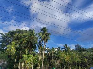 haven garden homestay