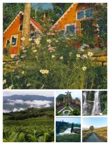 vamoose cheeyabari oaks homestay