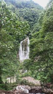 vamoose cheeyabari oaks homestay