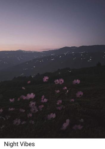 sonada