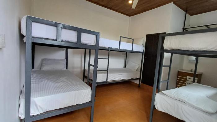 jmount vagamon resort