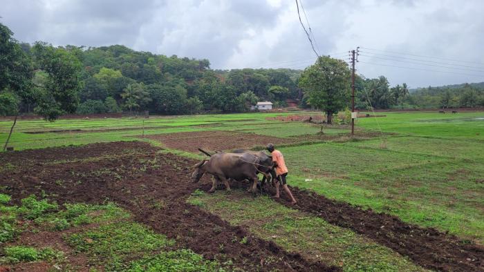 aranya home stay malvan