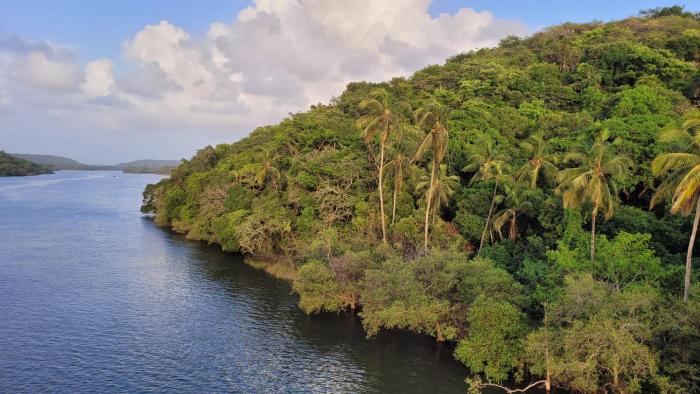 aranya home stay malvan