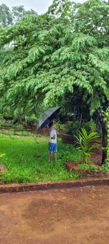 aranya home stay malvan