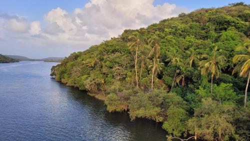 aranya home stay malvan