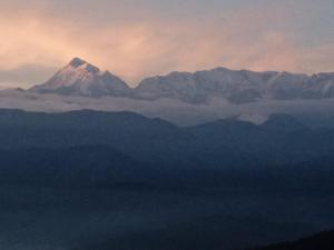 golden himalaya homestay