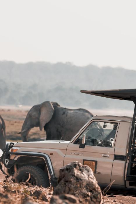 chobe house villa and chalets