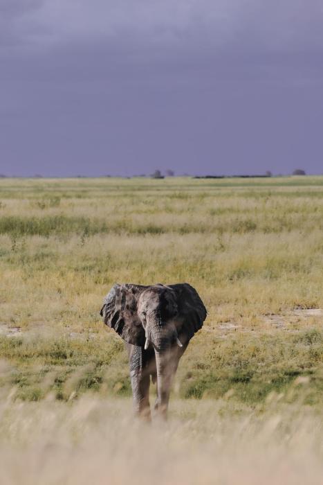 chobe house villa and chalets