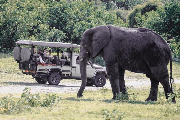 chobe house villa and chalets