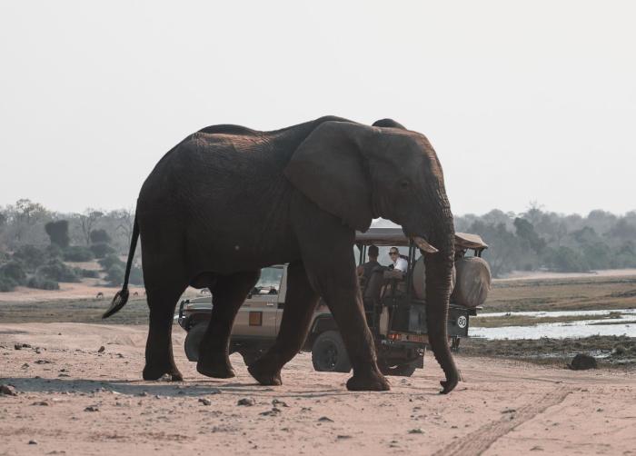 chobe house villa and chalets