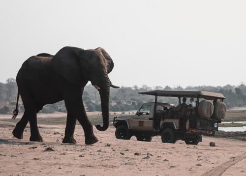 Chobe House Villa And Chalets,,5 star