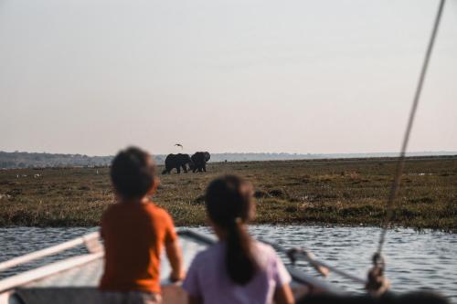 chobe house villa and chalets