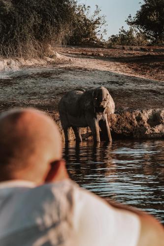 chobe house villa and chalets