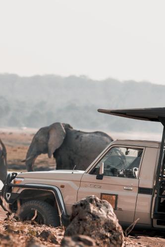 chobe house villa and chalets