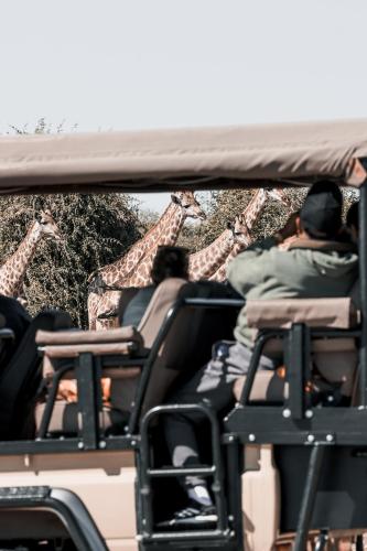 chobe house villa and chalets