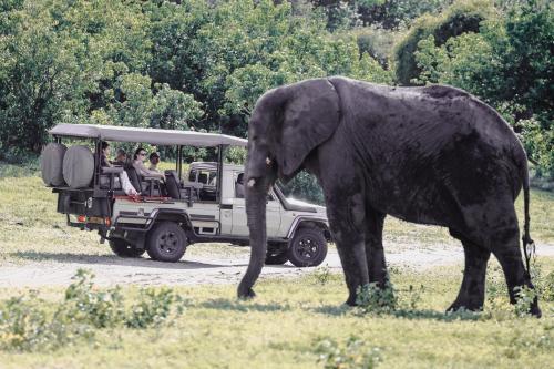 chobe house villa and chalets
