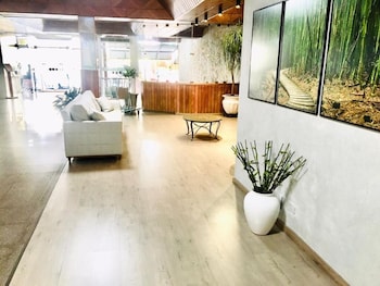 harbor self cidade verde